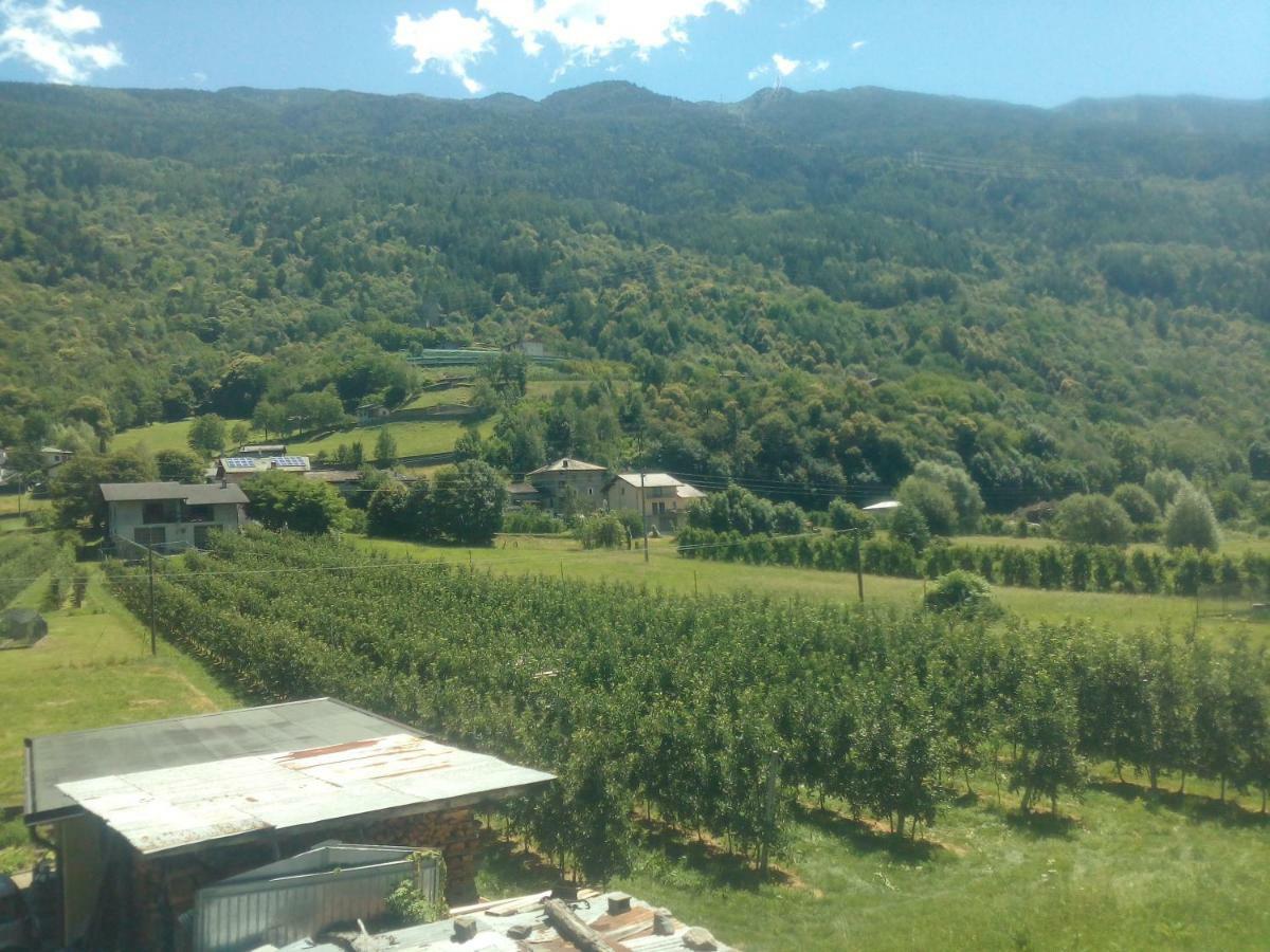 Free Hugs * Mazzo di Valtellina